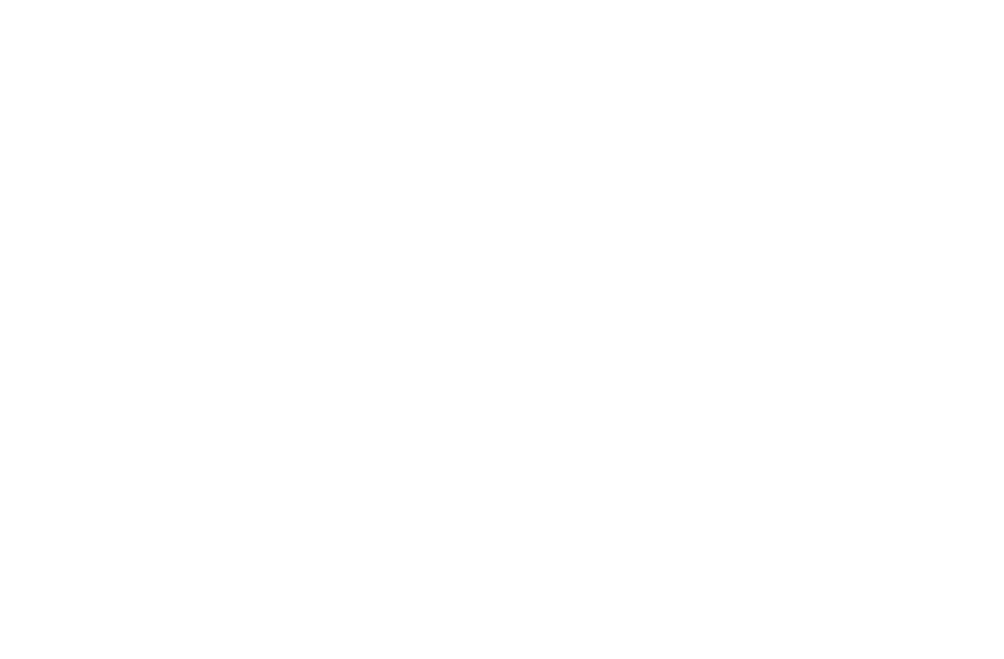 Penguin King