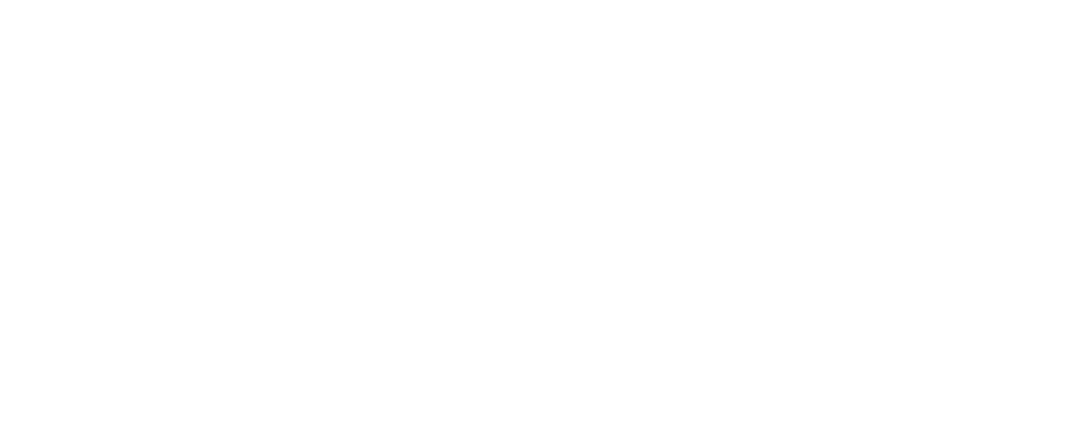 Shady Lady